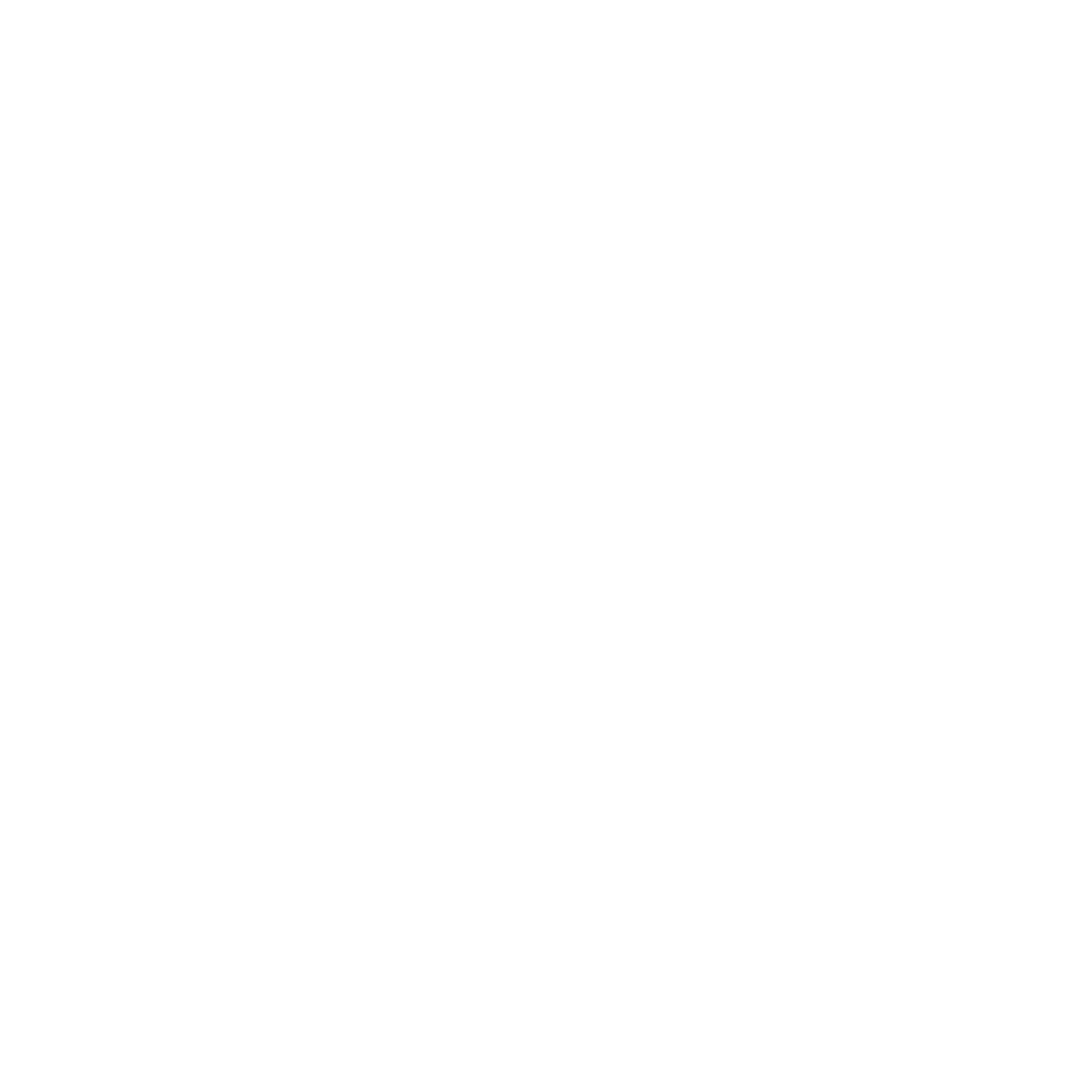Logo Palguín 43